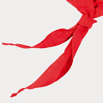 递乐 小学生少先队员红领巾布质柔软国标1.2米红领巾学生用品单条装  5326