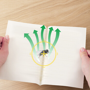 榄菊粘蝇纸30片装 粘苍蝇板粘蝇胶捕蝇灭蝇器 苍蝇贴 榄菊粘蝇纸30片装 粘苍蝇板粘蝇胶捕蝇灭蝇器 苍蝇贴