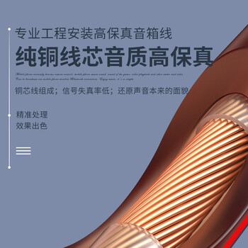 狮乐(SHILE)x200音箱线200芯铜芯线20米 狮乐(SHILE)x200音箱线200芯铜芯线20米