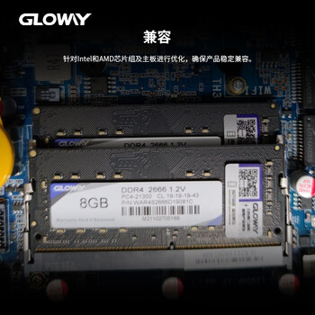 光威（Gloway）8GB DDR4 2666 笔记本内存条 战将 普条 精选颗粒 CL19