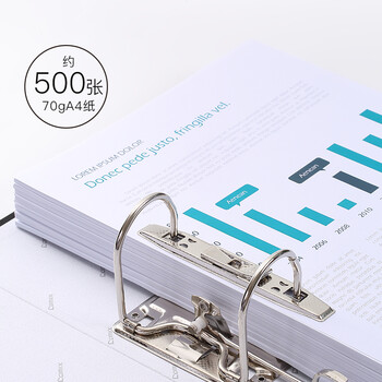 齐心(Comix) 3寸加厚型欧式快劳夹 A4文件夹带孔资料夹 两孔活页夹 黑色 办公文具 EA4016