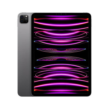 苹果新iPad Pro 11英寸256GB价格报价行情- 京东