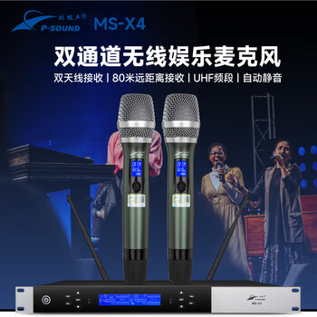 北极声无线一拖二娱乐KTV麦克风MS-X4