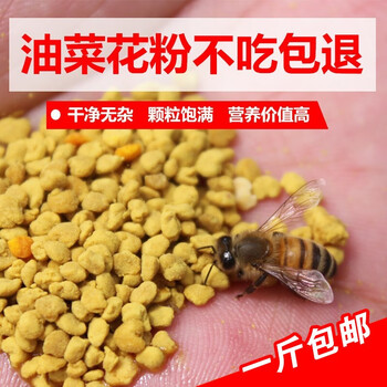 蜂之家花粉颗粒喂蜂油菜杂粉中蜂意蜂花粉饲料天然青海花粉直购新鲜蜜蜂花粉饲喂器喂食器花粉颗粒1斤 包油 图片价格品牌报价 京东 蜂之家花粉颗粒喂蜂油菜杂粉中蜂意蜂花粉饲料天然青海花粉直购新鲜蜜蜂花粉饲喂器喂食器花粉颗粒1斤 包油 图片价格品牌报价 京东