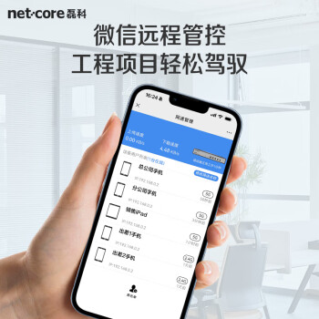 磊科（netcore）NBR200全千兆企业路由器 多WAN口 VPN虚拟专网/云端管理/AC管理/带宽叠加/带机量200