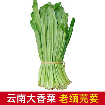 ZXC叶菜类- 京东