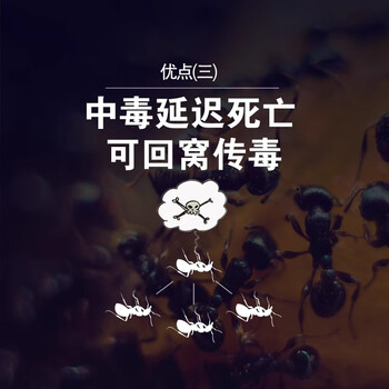 巴斯夫呋虫胺杀虫剂喷雾2盒灭杀苍蝇蚂蚁药大面积杀蟑螂药跳蚤杀虫剂