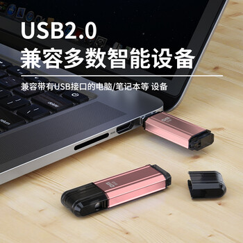 DM大迈 8GB USB2.0 U盘 PD206 粉色 招标投标小u盘 企业竞标电脑车载优盘 DM大迈 8GB USB2.0 U盘 PD206 粉色 招标投标小u盘 企业竞标电脑车载优盘