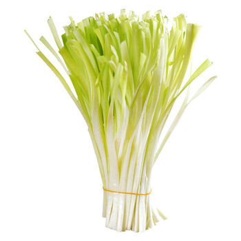 冷链韭黄新鲜韭菜云南产地直发黄韭蔬菜饺子馅食材 云南新鲜韭黄2斤装