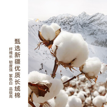 HOYO日本毛巾纯棉A类新疆棉洗脸洗澡男女士吸水速干毛巾2条装 34*76cm