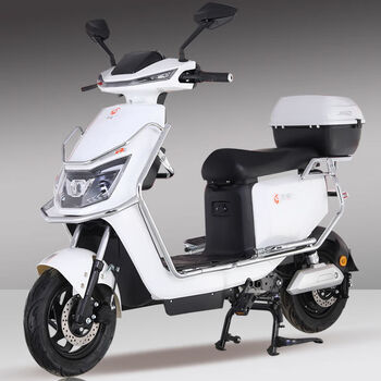 雅迪爱玛同款新国标48v锂电池外卖小型电瓶车小电动车小型车 方鹰皎月