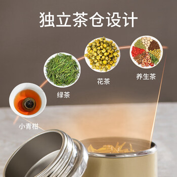 宝威玛英国玻璃杯 茶水分离杯双层隔热透明玻璃杯男子高档商务泡茶水杯