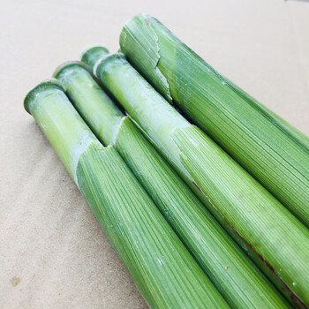 采缇东北辽宁甜杆节甜芦粟绿皮甜高粱中段小甘蔗甘甜现现发5斤 8斤