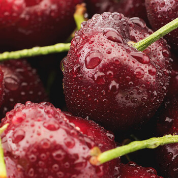 挽刻甘肃天水大樱桃国产车厘子孕妇水果新鲜现摘大樱桃精选中果3斤