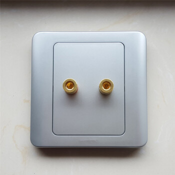 86型银灰色二四六八十位音箱2 孔4孔6孔8孔10头银色音响插座面板 二孔