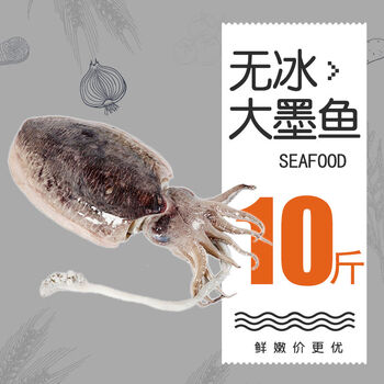新鲜大墨鱼海捕墨鱼仔超大号冷冻水产海鲜大乌贼目鱼墨斗鱼10斤