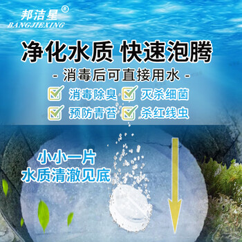 邦洁星户外净水片600片应急战备露营野外求生水质消毒净化片食用级