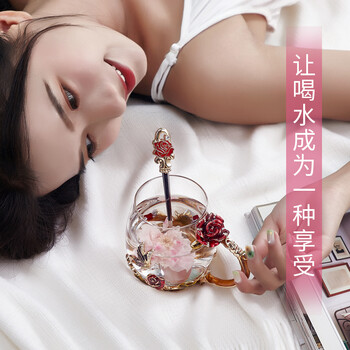 诺诗曼生日礼物送女生实用杯子高颜值玻璃杯女士茶杯结婚送新人闺蜜女友