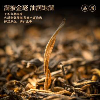 茗杰云南凤庆滇红茶叶蜜香养胃红茶自己喝 罐装500g 茶叶礼盒送礼送茶