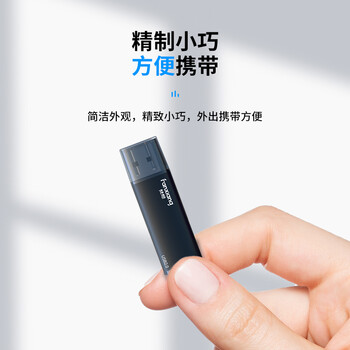 梵想（FANXIANG）32GB U盘 USB2.0 专业招标投标小u盘 迷你便携 即插即用 企业竞标车载电脑通用金属优盘F202-2黑色
