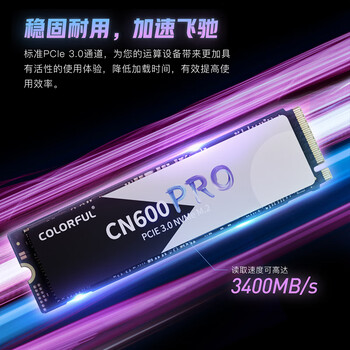 七彩虹（Colorful）256GB SSD固态硬盘 M.2接口(NVMe协议) CN600 PRO系列PCIe 3.0 x4 TLC颗粒