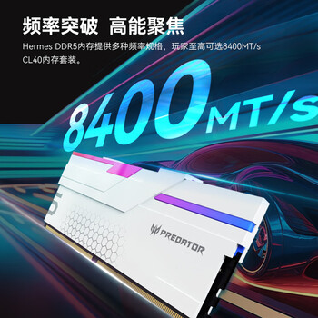 宏碁掠夺者（PREDATOR）32G(16G×2)套装 DDR5 6800频率 台式机内存条 Hermes冰刃系列 RGB灯条(C32) 银色 AI电脑配件