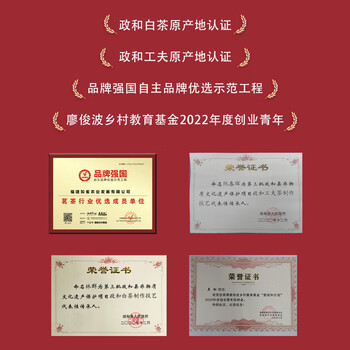 政和白茶小方片白牡丹240g 3年陈高山牡丹礼盒装 高山茶叶