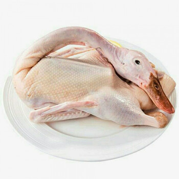 三年老鸭农家散养老母鸭新鲜鸭子冷冻鸭子整鸭子坏单包赔 三年老母鸭