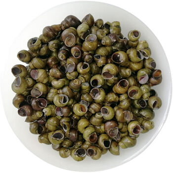 坏单包赔新鲜田螺活体石螺包活泥螺螺蛳粉螺丝肉鲜活螺蛳4斤鲜活田螺