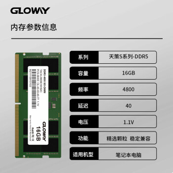 光威（Gloway）16GB DDR5 4800 笔记本内存条 天策S系列 助力AI 适配黑神话悟空