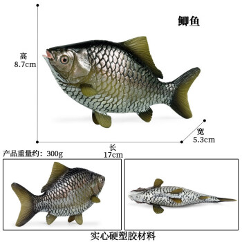 Oenux玩具鱼认物儿童假鱼仿真海洋淡水鱼模型动物三文食人金枪咸鱼水母 M-1131鲫鱼