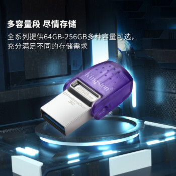 金士顿（Kingston）256GB Type-C USB3.2 Gen1 大容量手机电脑U盘 DTDUO3CG3 双接口设计 读速200MB/s 适用安卓苹果