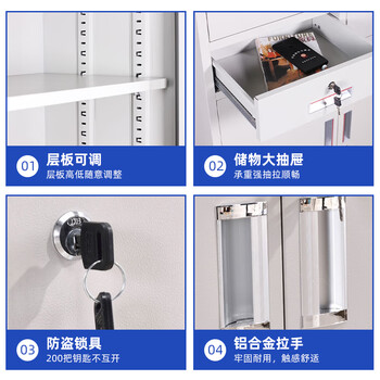 丰龙文件柜办公柜钢制铁皮柜档案柜办公室资料柜凭证柜储物柜中二斗柜