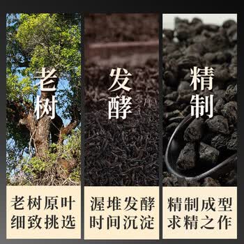 传奇会普洱茶 糯米香碎银子熟普 云南源产茶化石礼盒装500g