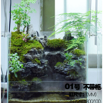 植物成品水陆缸水草缸雨林缸生态造景diy假山微景观水族鱼缸01号不带柜 图片价格品牌报价 京东