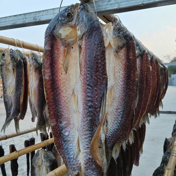 味肴腊品腊鱼湖北特产风干鱼咸鱼干货正宗草鱼干农家淡水干鱼块 风干