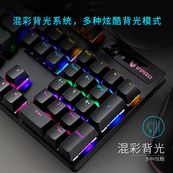 雷柏（Rapoo）V500PRO 有线背光机械键盘 104键全尺寸游戏电竞笔记本电脑多媒体办公吃鸡全键无冲键盘 红轴