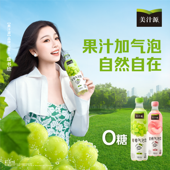 美汁源葡萄味480ml*12瓶