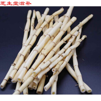 【官方旗舰】【官方旗舰】新鲜白芦根 真空 新鲜 芦苇根  另有白茅根