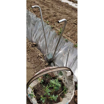 栽苗器移苗器加厚带脚蹬多功能种辣椒苗神器移植农用工具无脚蹬