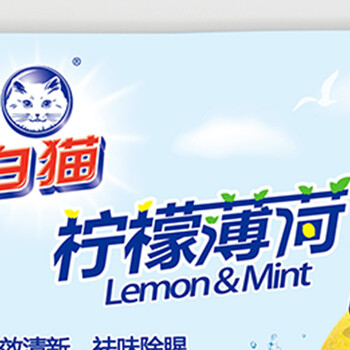 白猫 柠檬薄荷洗洁精5kg A类食品用祛油除腥青柠薄荷香洗洁精