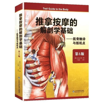 触诊解剖新款- 触诊解剖2021年新款- 京东