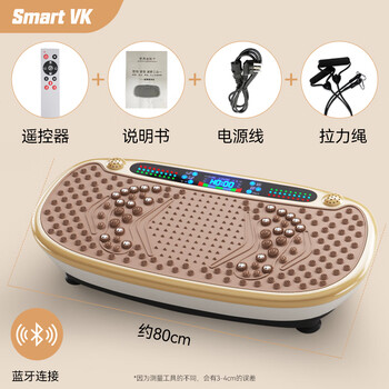 Smart VK甩脂机抖抖机大功率高频震动律动机减肥神器塑形运动家用健身器材