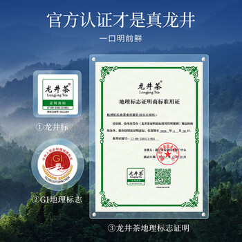 忆江南龙井茶叶礼盒210g绿茶送礼送父母长辈的礼物荷韵