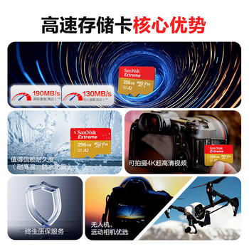 闪迪(SanDisk)256GB TF(MicroSD)内存卡 4K极速金卡A2 V30 U3行车记录仪 运动相机无人机 监控存储卡 读190MB/s 闪迪(SanDisk)256GB TF(MicroSD)内存卡 4K极速金卡A2 V30 U3行车记录仪 运动相机无人机 监控存储卡 读190MB/s
