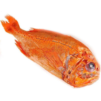 4-3.5斤/条 深海长寿鱼 富贵鱼 船冻海鲜 长寿鱼(2条共8.5斤)