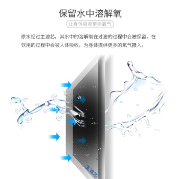 爱惠浦（Everpure）高端厨下 抑垢除铅直饮矿物质水 4.1L/min 大流量0废水净水器 10000L额定净水量Combo-4FC-LS-plus