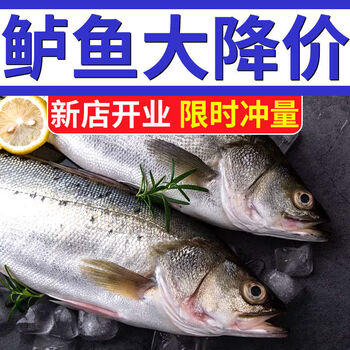鲜活冷冻海捕花鲈鱼板鱼鲈鱼海鱼寨花鱼海鲜水产批发 大号整条鲈鱼