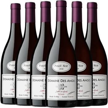 诺特酿珍藏级红酒智利中央山谷进口干红grandreserve葡萄酒整箱6支装