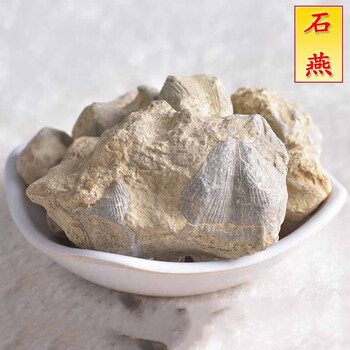 石燕500克燕石子石燕子水飞石大石燕水飞石燕石燕